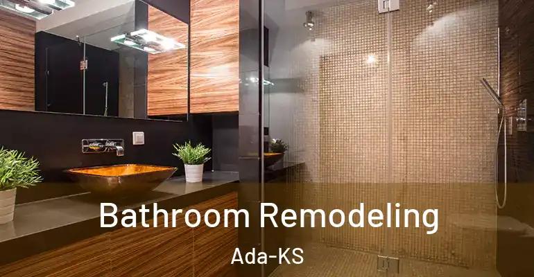 inner Bathroom imggen Bathroom Remodeling Ada-KS