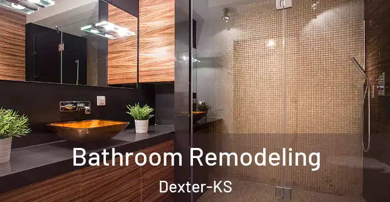 inner Bathroom imggen Bathroom Remodeling Dexter-KS