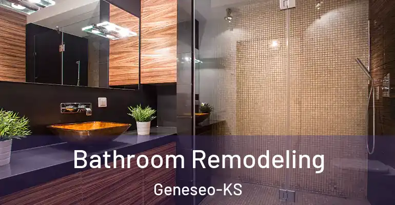 inner Bathroom imggen Bathroom Remodeling Geneseo-KS