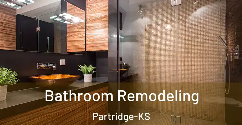 inner Bathroom imggen Bathroom Remodeling Partridge-KS