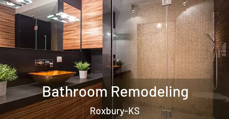 inner Bathroom imggen Bathroom Remodeling Roxbury-KS