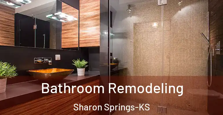 inner Bathroom imggen Bathroom Remodeling Sharon Springs-KS