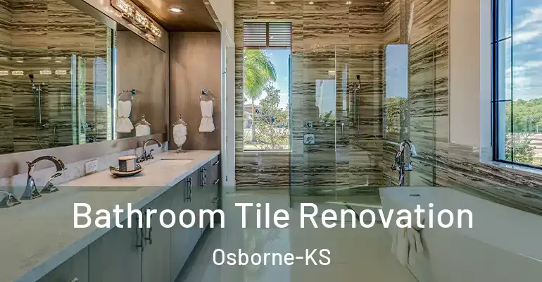 inner Bathroom imggen Bathroom Tile Renovation Osborne-KS