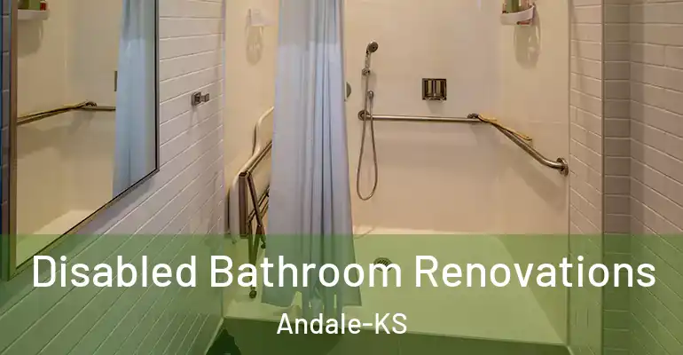 inner Bathroom imggen Disabled Bathroom Renovations Andale-KS