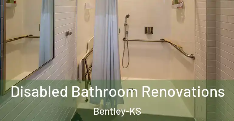 inner Bathroom imggen Disabled Bathroom Renovations Bentley-KS