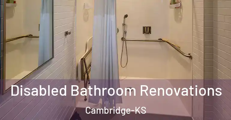 inner Bathroom imggen Disabled Bathroom Renovations Cambridge-KS