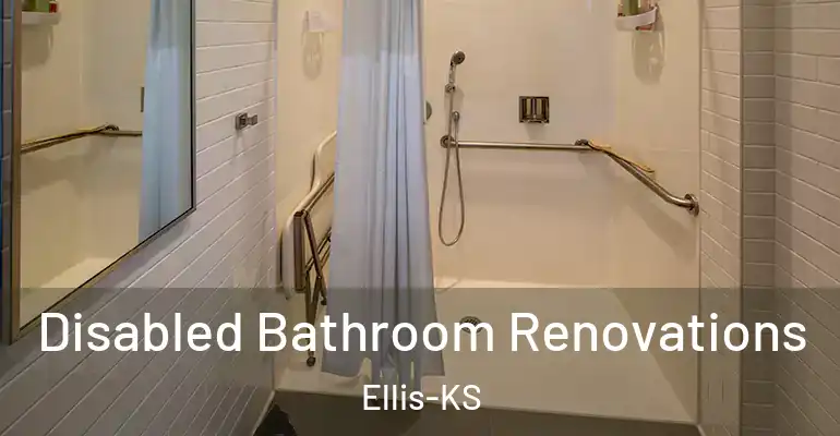 inner Bathroom imggen Disabled Bathroom Renovations Ellis-KS