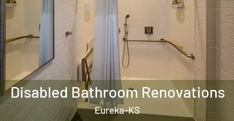 inner Bathroom imggen Disabled Bathroom Renovations Eureka-KS