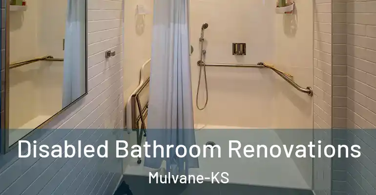 inner Bathroom imggen Disabled Bathroom Renovations Mulvane-KS