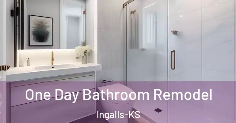 inner Bathroom imggen One Day Bathroom Remodel Ingalls-KS