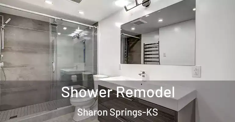 inner Bathroom imggen Shower Remodel Sharon Springs-KS