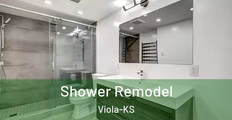 inner Bathroom imggen Shower Remodel Viola-KS