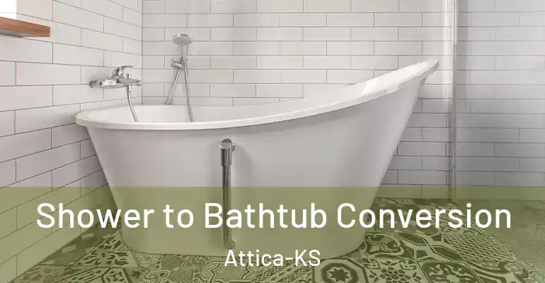inner Bathroom imggen Shower to Bathtub Conversion Attica-KS