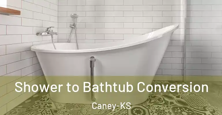 inner Bathroom imggen Shower to Bathtub Conversion Caney-KS