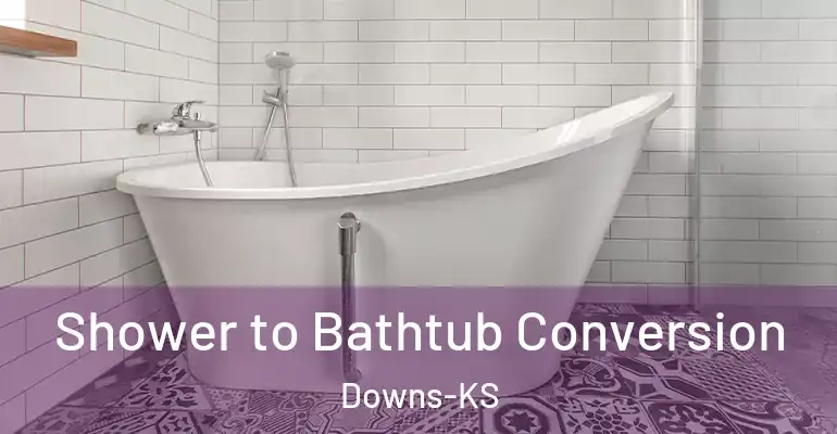 inner Bathroom imggen Shower to Bathtub Conversion Downs-KS