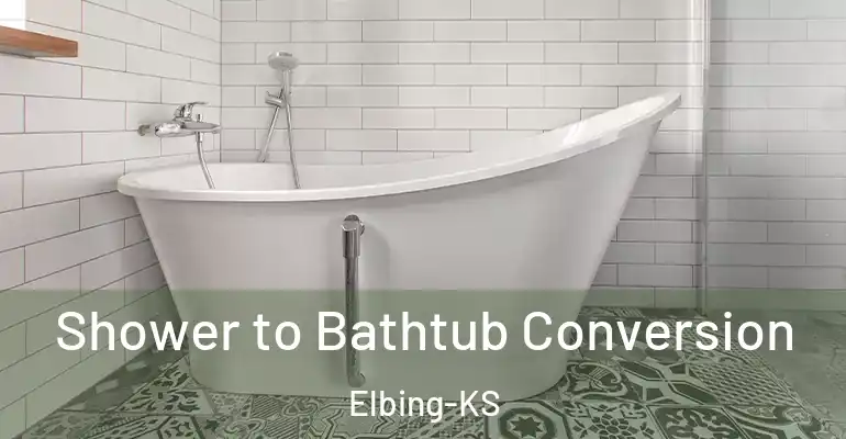 inner Bathroom imggen Shower to Bathtub Conversion Elbing-KS
