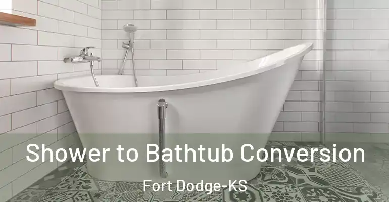 inner Bathroom imggen Shower to Bathtub Conversion Fort Dodge-KS