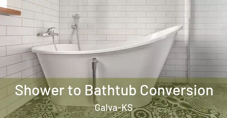 inner Bathroom imggen Shower to Bathtub Conversion Galva-KS