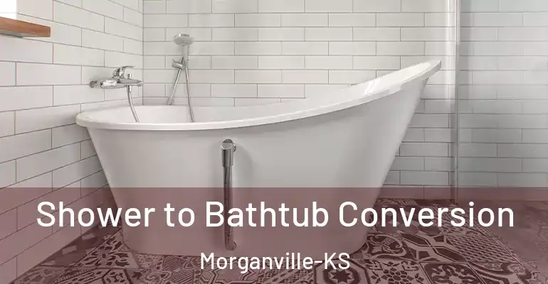 inner Bathroom imggen Shower to Bathtub Conversion Morganville-KS