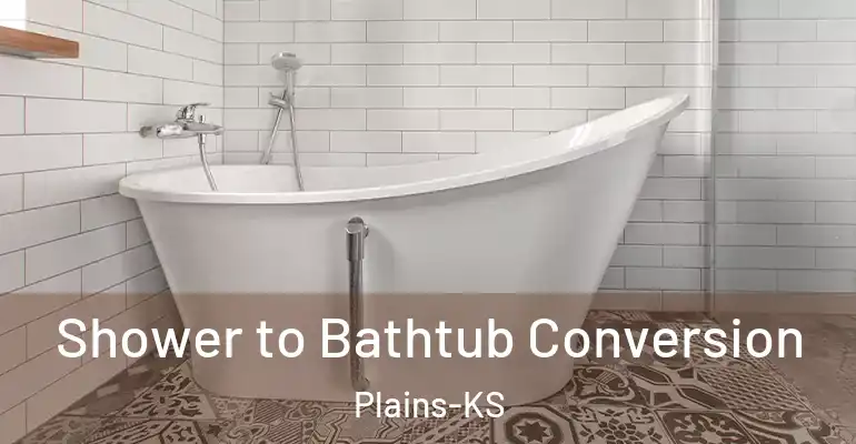 inner Bathroom imggen Shower to Bathtub Conversion Plains-KS