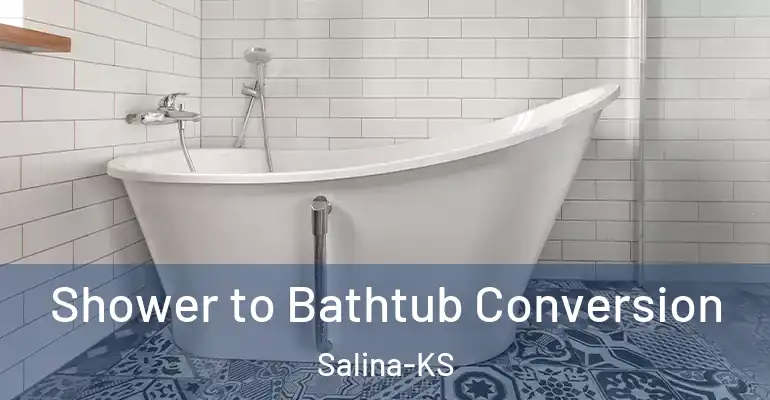 inner Bathroom imggen Shower to Bathtub Conversion Salina-KS