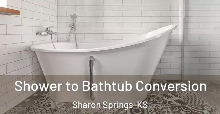 inner Bathroom imggen Shower to Bathtub Conversion Sharon Springs-KS