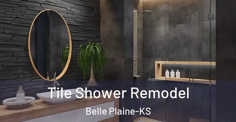 inner Bathroom imggen Tile Shower Remodel Belle Plaine-KS