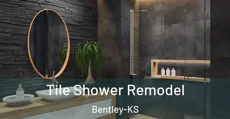 inner Bathroom imggen Tile Shower Remodel Bentley-KS