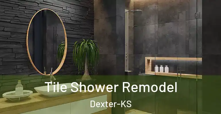 inner Bathroom imggen Tile Shower Remodel Dexter-KS