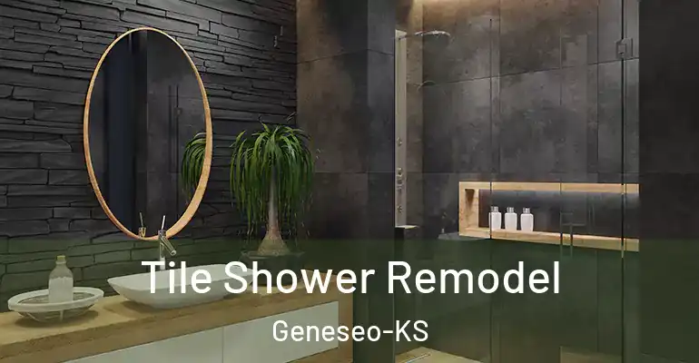 inner Bathroom imggen Tile Shower Remodel Geneseo-KS
