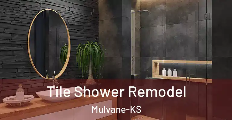 inner Bathroom imggen Tile Shower Remodel Mulvane-KS