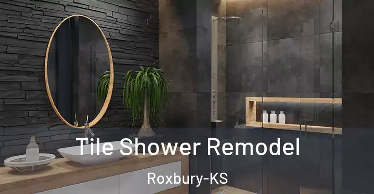 inner Bathroom imggen Tile Shower Remodel Roxbury-KS