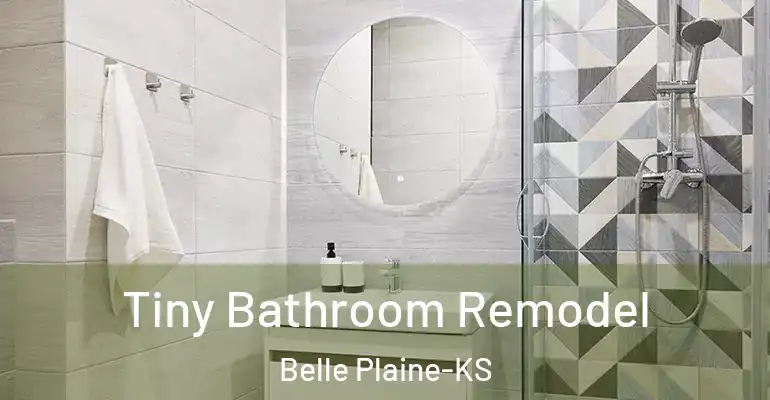 inner Bathroom imggen Tiny Bathroom Remodel Belle Plaine-KS