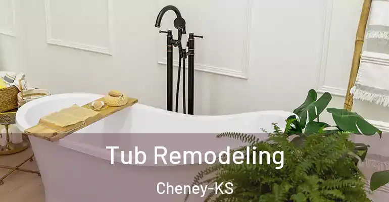 inner Bathroom imggen Tub Remodeling Cheney-KS
