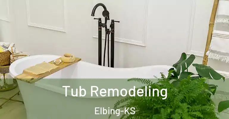 inner Bathroom imggen Tub Remodeling Elbing-KS