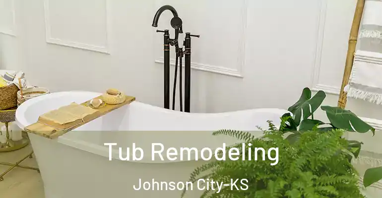inner Bathroom imggen Tub Remodeling Johnson City-KS