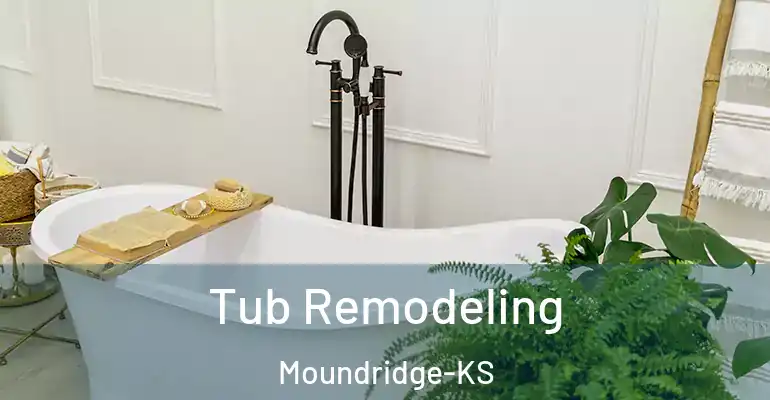 inner Bathroom imggen Tub Remodeling Moundridge-KS