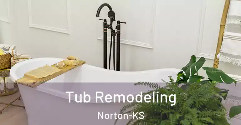 inner Bathroom imggen Tub Remodeling Norton-KS