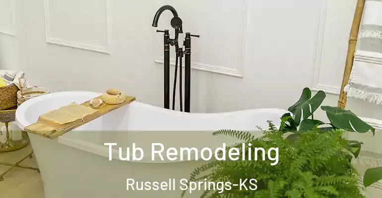 inner Bathroom imggen Tub Remodeling Russell Springs-KS