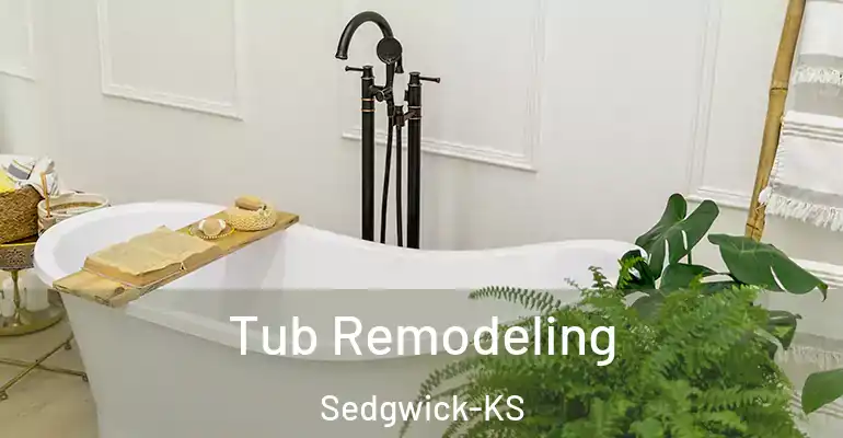 inner Bathroom imggen Tub Remodeling Sedgwick-KS