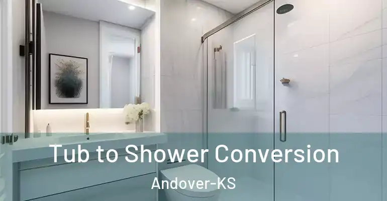 inner Bathroom imggen Tub to Shower Conversion Andover-KS