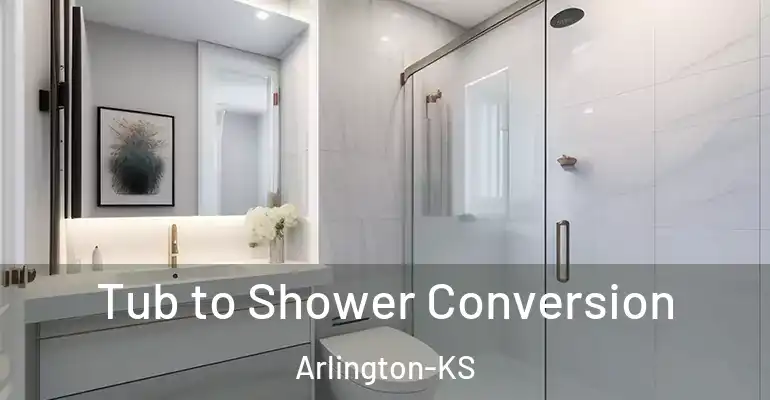 inner Bathroom imggen Tub to Shower Conversion Arlington-KS