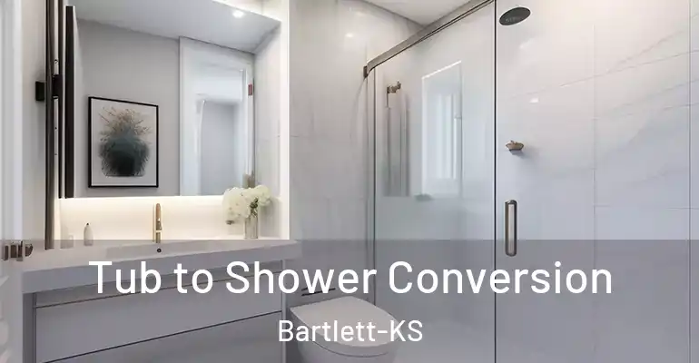 inner Bathroom imggen Tub to Shower Conversion Bartlett-KS