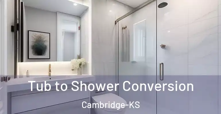inner Bathroom imggen Tub to Shower Conversion Cambridge-KS
