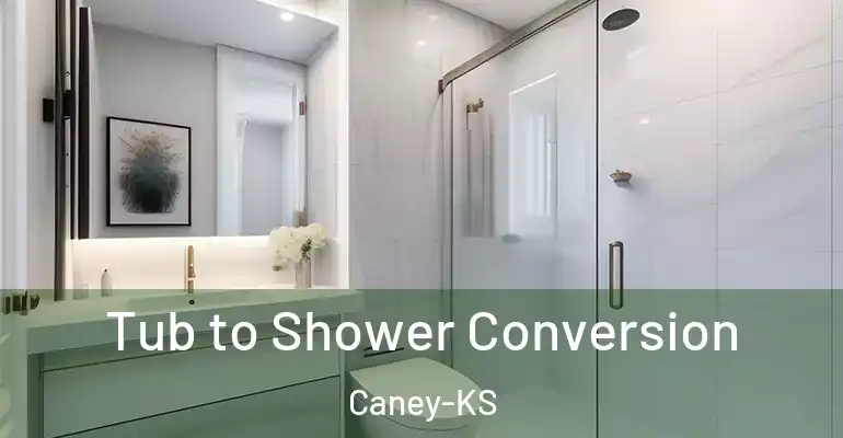 inner Bathroom imggen Tub to Shower Conversion Caney-KS