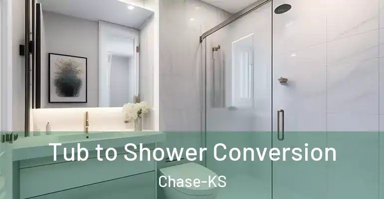 inner Bathroom imggen Tub to Shower Conversion Chase-KS