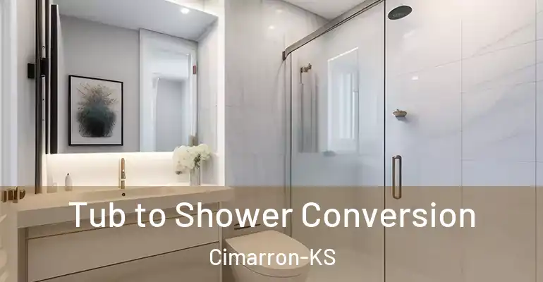inner Bathroom imggen Tub to Shower Conversion Cimarron-KS