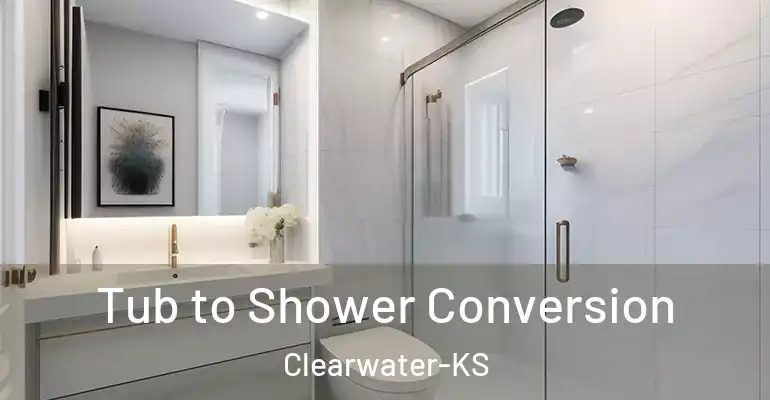 inner Bathroom imggen Tub to Shower Conversion Clearwater-KS