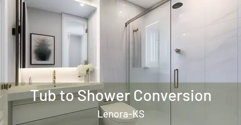 inner Bathroom imggen Tub to Shower Conversion Lenora-KS