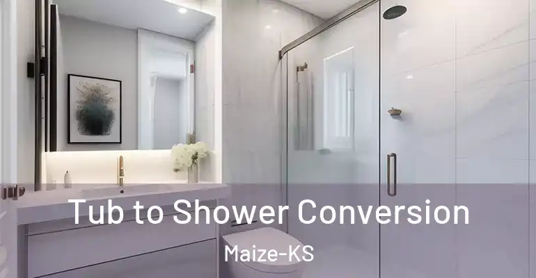 inner Bathroom imggen Tub to Shower Conversion Maize-KS